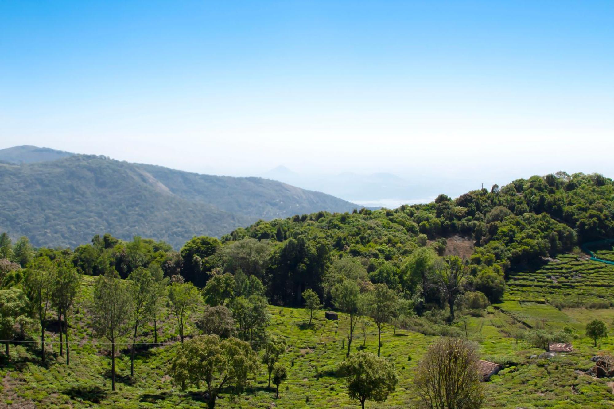 The Royale Ridge Hotell Kotagiri Exteriör bild